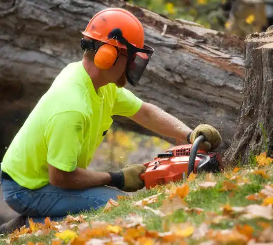 tree services Metairie